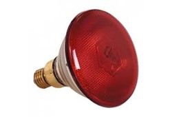 Lampe 250 W rot
